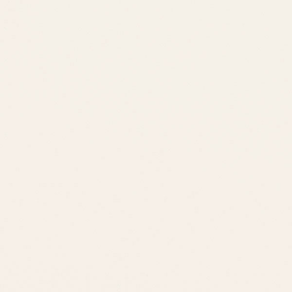 Textured White Thermofoil Kitchen Craft