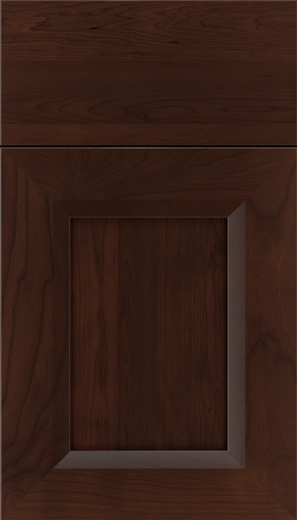 kenna_cherry_recessed_panel_cabinet_door_cappuccino