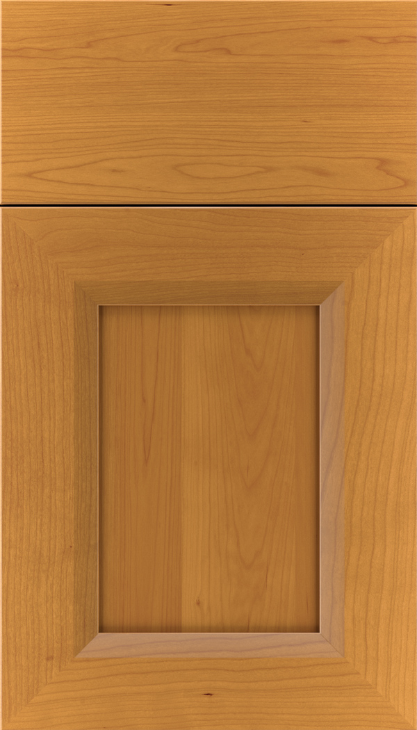 kenna_cherry_recessed_panel_cabinet_door_ginger