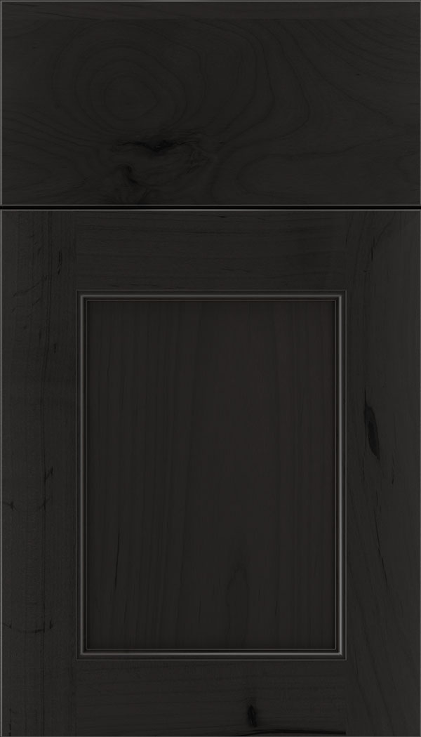 Lexington Alder recessed panel cabinet door in Charcoal