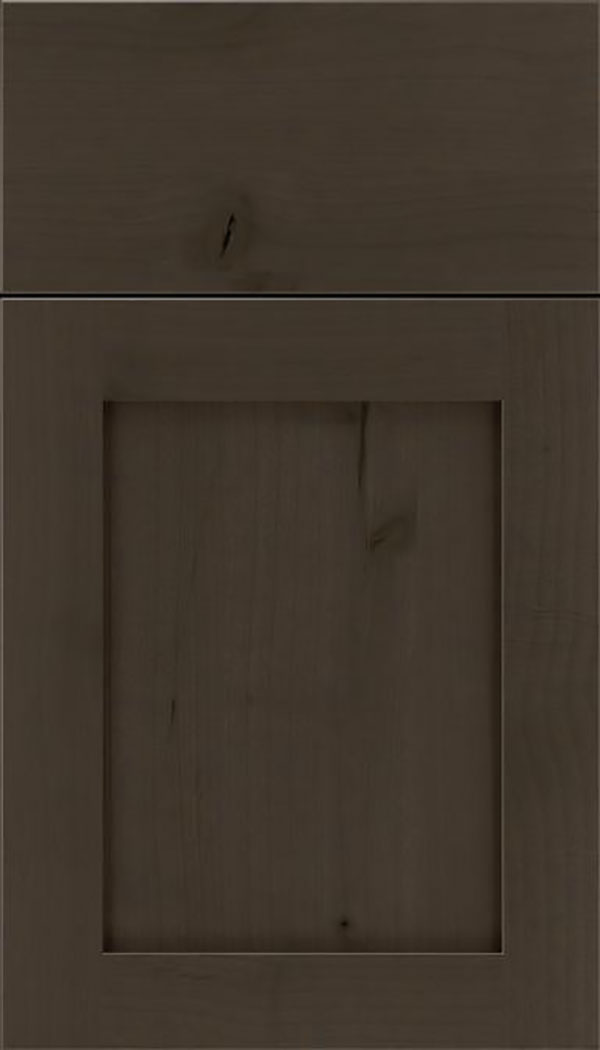 Salem Alder shaker cabinet door in Thunder