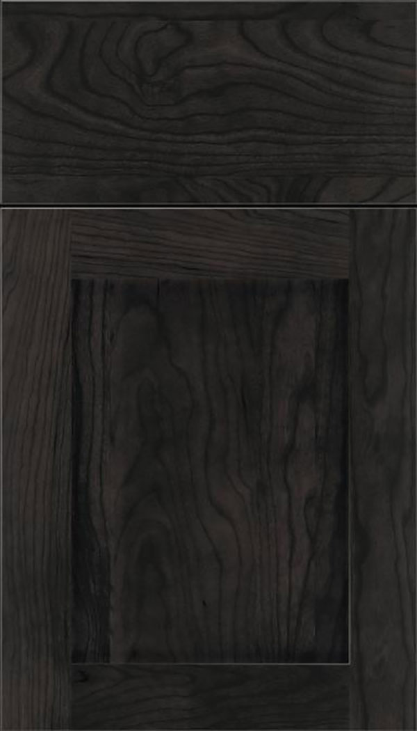 Salem Cherry shaker cabinet door in Charcoal