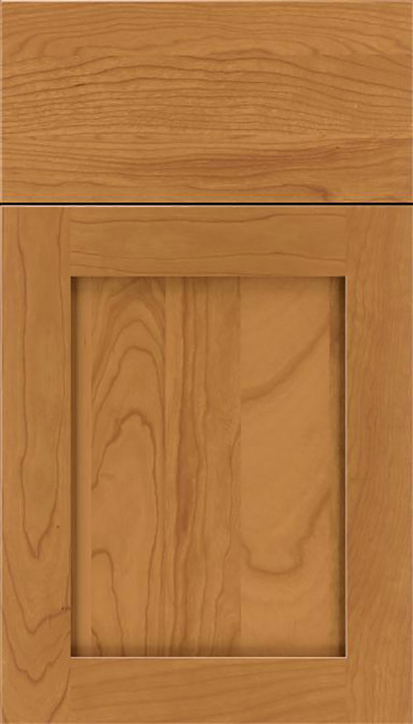 Salem Cherry shaker cabinet door in Ginger