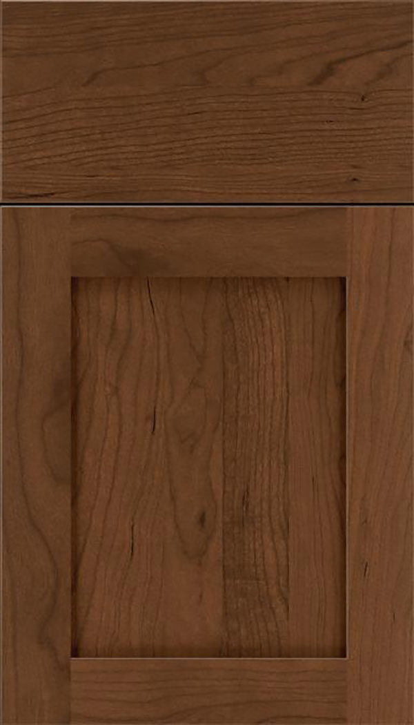 Salem Cherry shaker cabinet door in Sienna