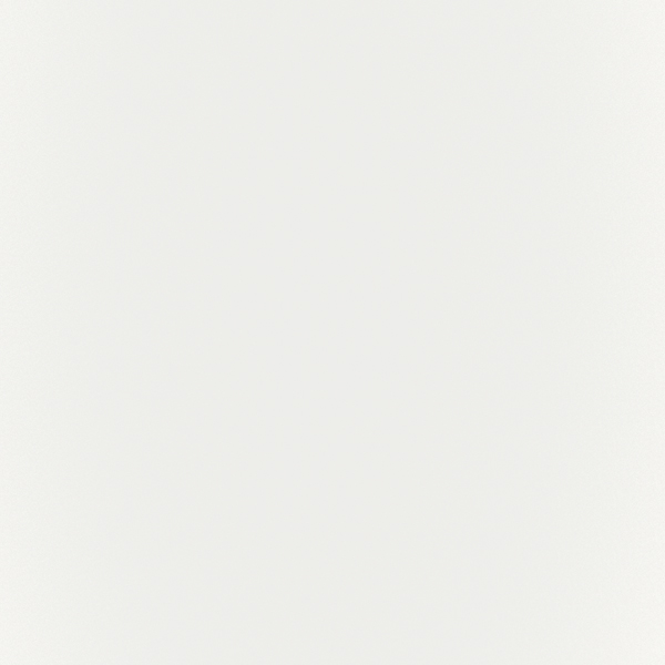 Satin Whitecap